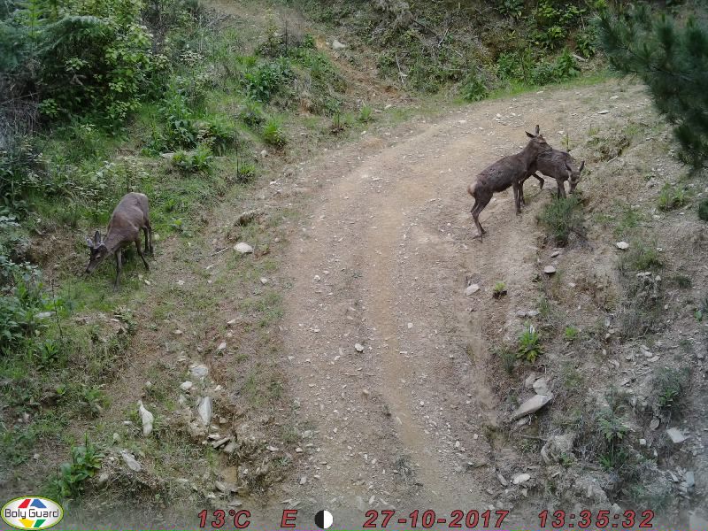 Name:  0028.JPG
Views: 500
Size:  155.7 KB