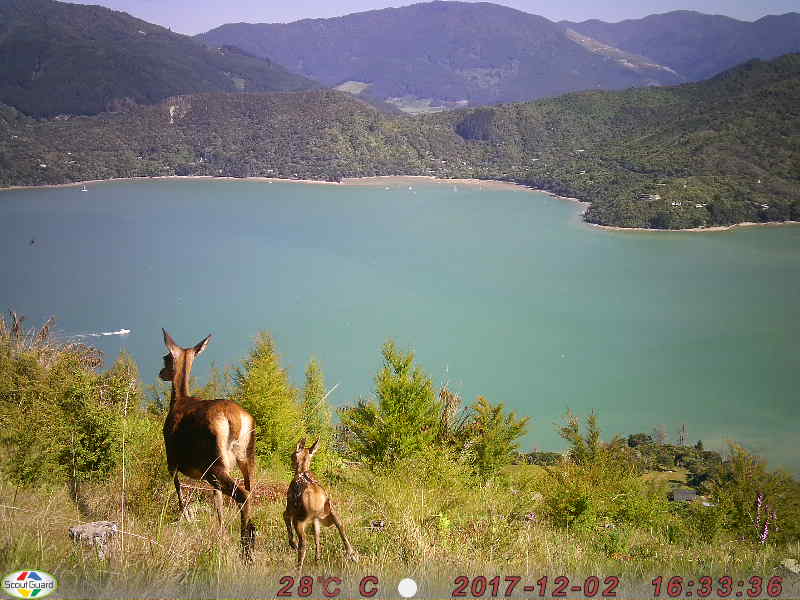 Name:  PIC (6).JPG
Views: 496
Size:  55.4 KB