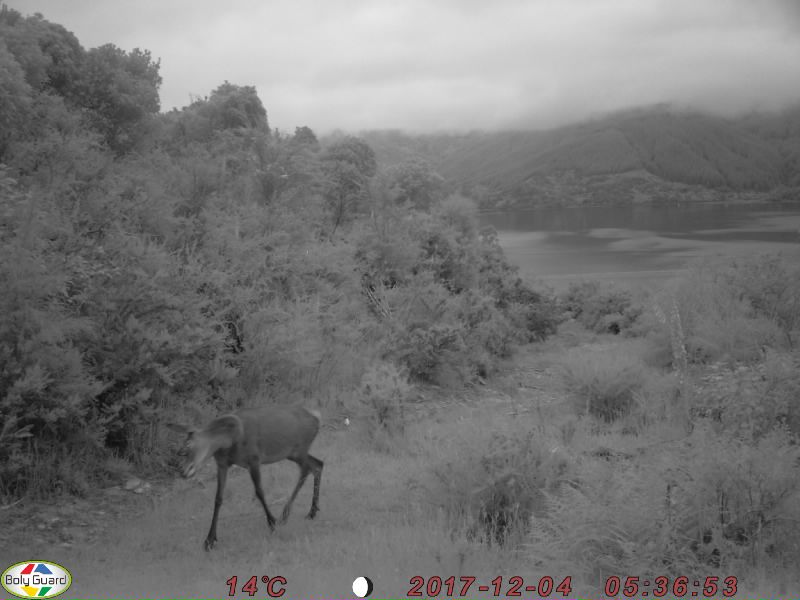 Name:  0315.JPG
Views: 525
Size:  58.6 KB