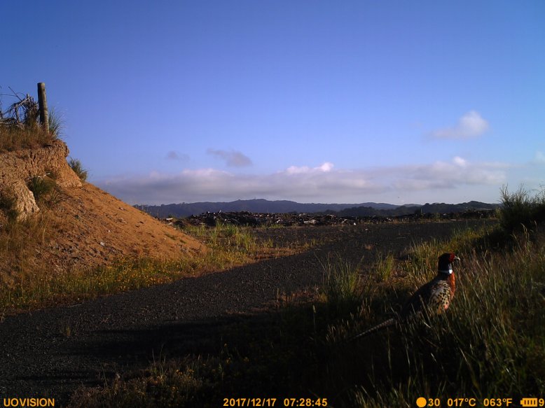 Name:  Imag0639.jpg
Views: 688
Size:  76.4 KB