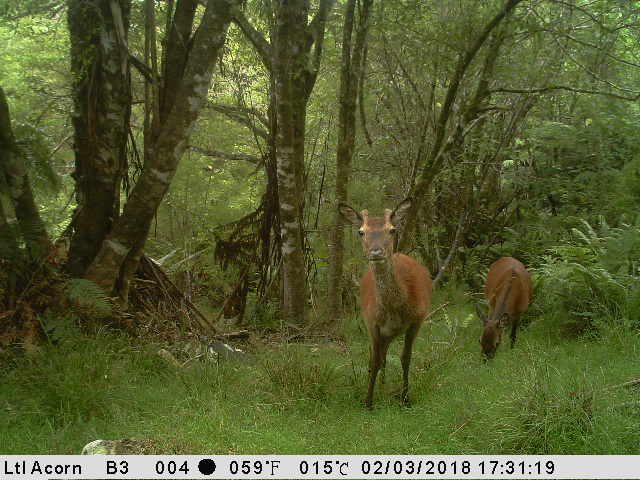 Name:  IMG_0684.JPG
Views: 586
Size:  65.4 KB