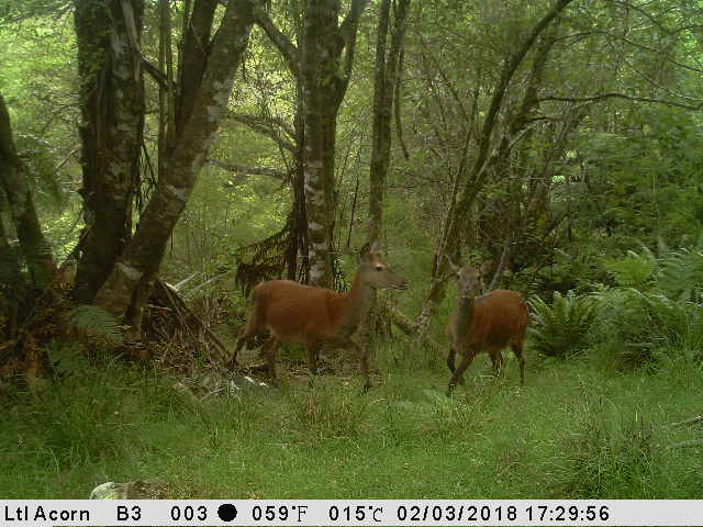 Name:  IMG_0683.JPG
Views: 655
Size:  64.8 KB