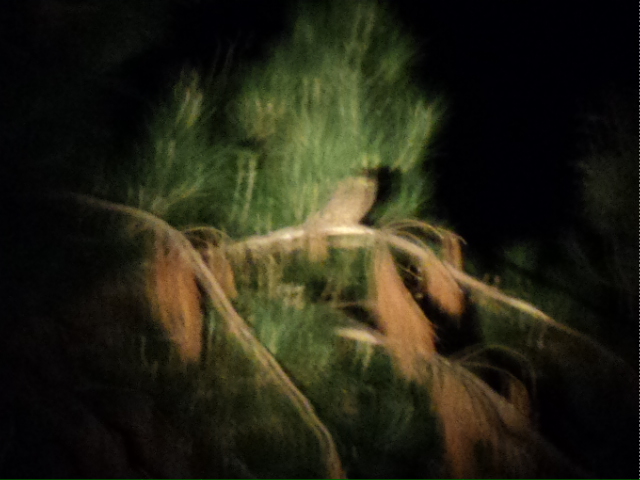 Name:  picture 1355.jpg
Views: 594
Size:  163.9 KB