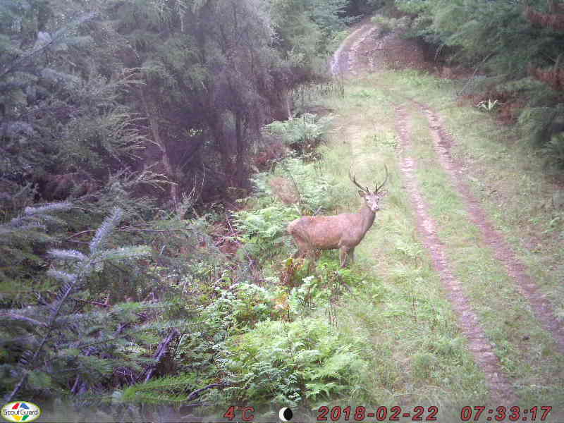 Name:  PIC.JPG
Views: 517
Size:  55.4 KB