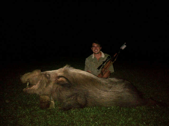 Name:  Bush Pig.jpg
Views: 449
Size:  21.8 KB