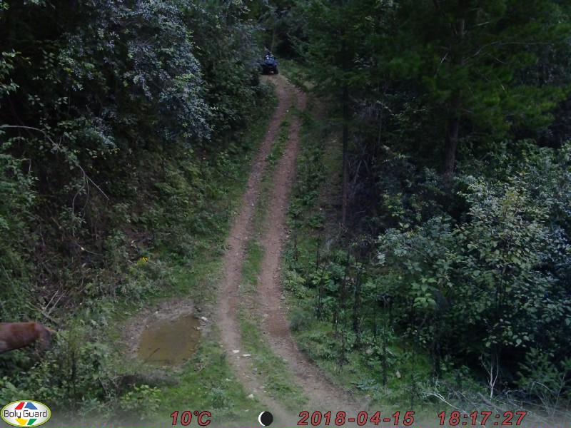 Name:  0009 (1).JPG
Views: 666
Size:  158.4 KB