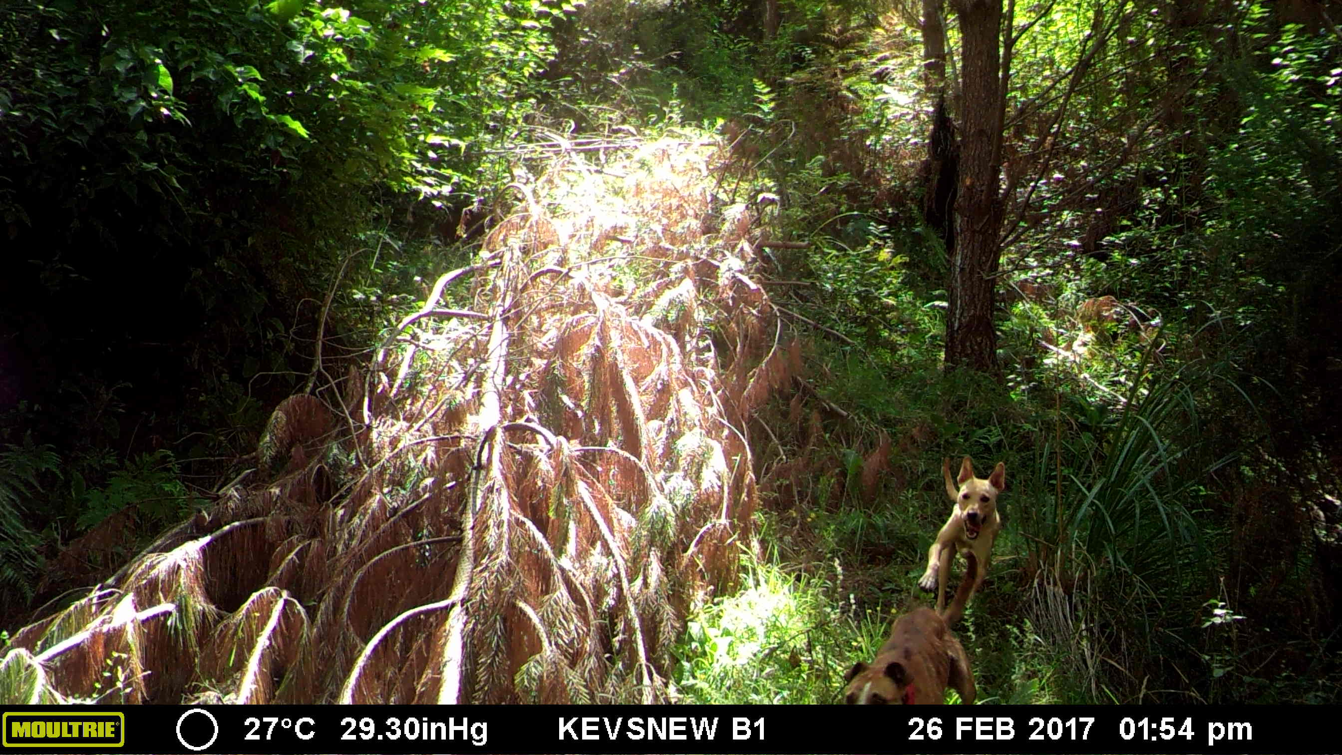 Name:  MFDC0314.JPG
Views: 549
Size:  420.8 KB