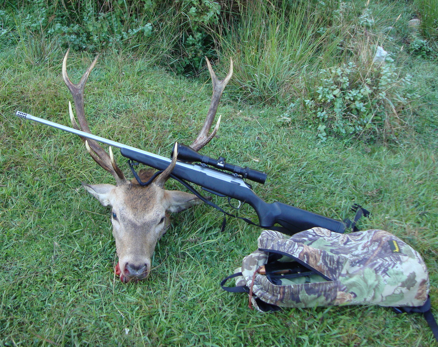 Name:  Waiowkas Aug 2010.jpg
Views: 703
Size:  861.3 KB
