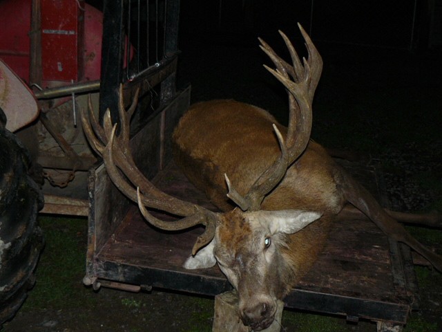 Name:  2144 (640 x 480).jpg
Views: 614
Size:  69.5 KB