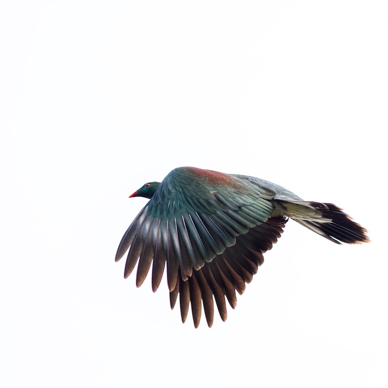 Name:  000 - 1 (5)-1 copy.jpg
Views: 263
Size:  55.3 KB