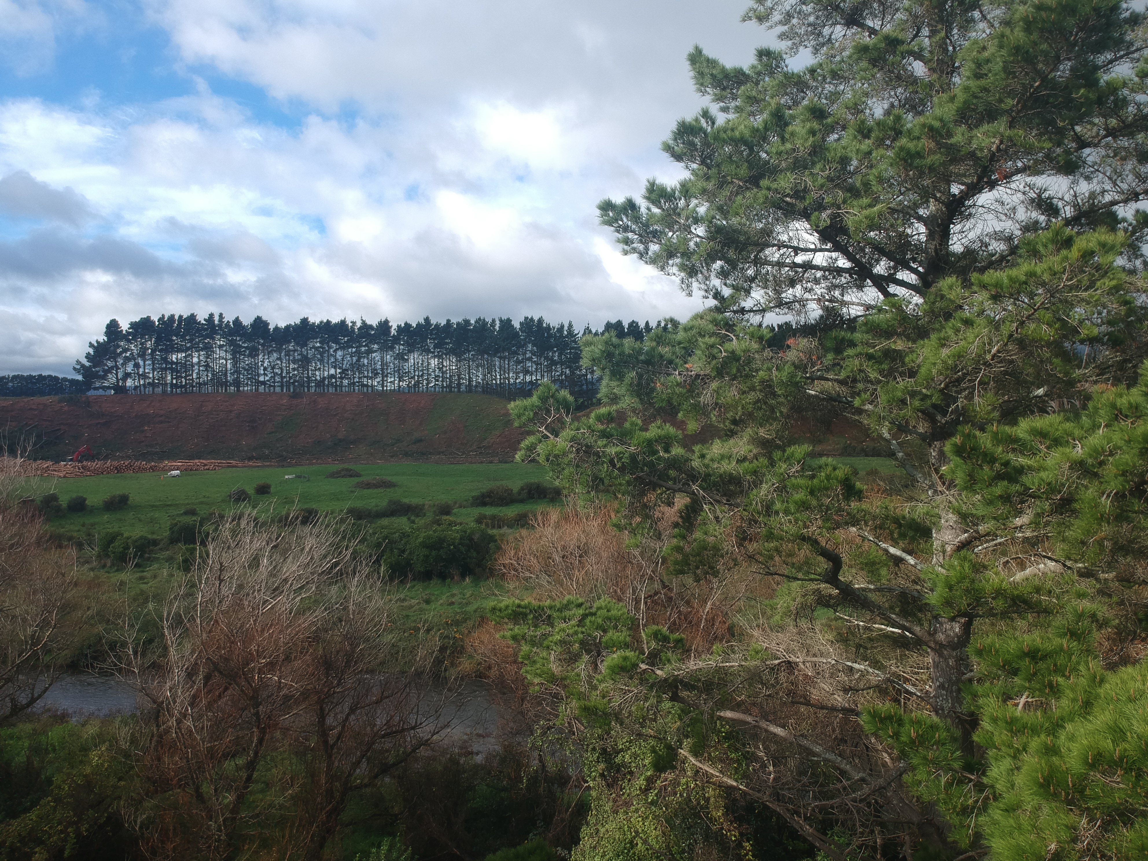 Name:  DJI_0003.JPG
Views: 755
Size:  6.25 MB