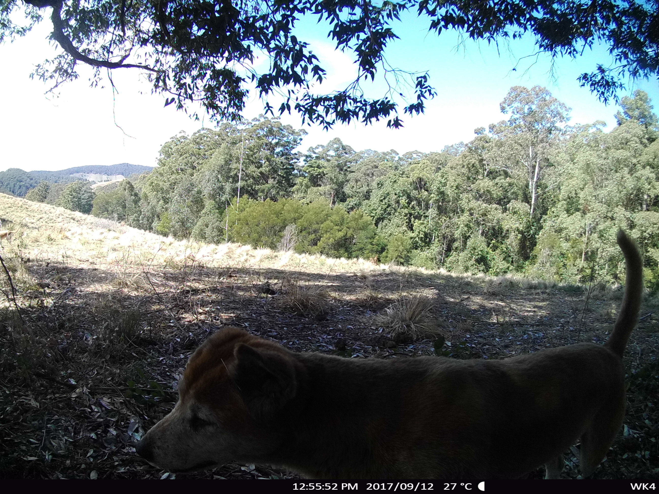 Name:  STC_0244.JPG
Views: 819
Size:  1.33 MB