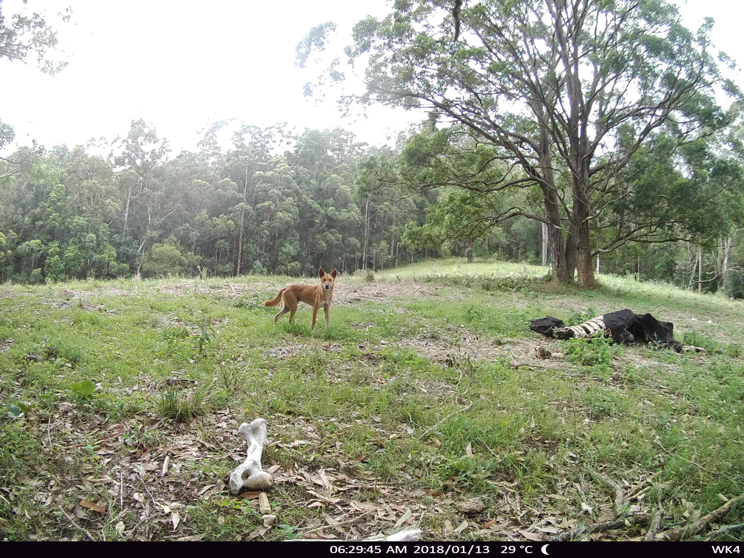 Name:  STC_0345.JPG
Views: 807
Size:  1.30 MB