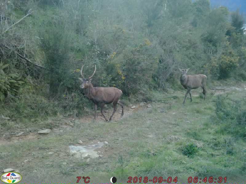 Name:  0071.JPG
Views: 451
Size:  51.2 KB