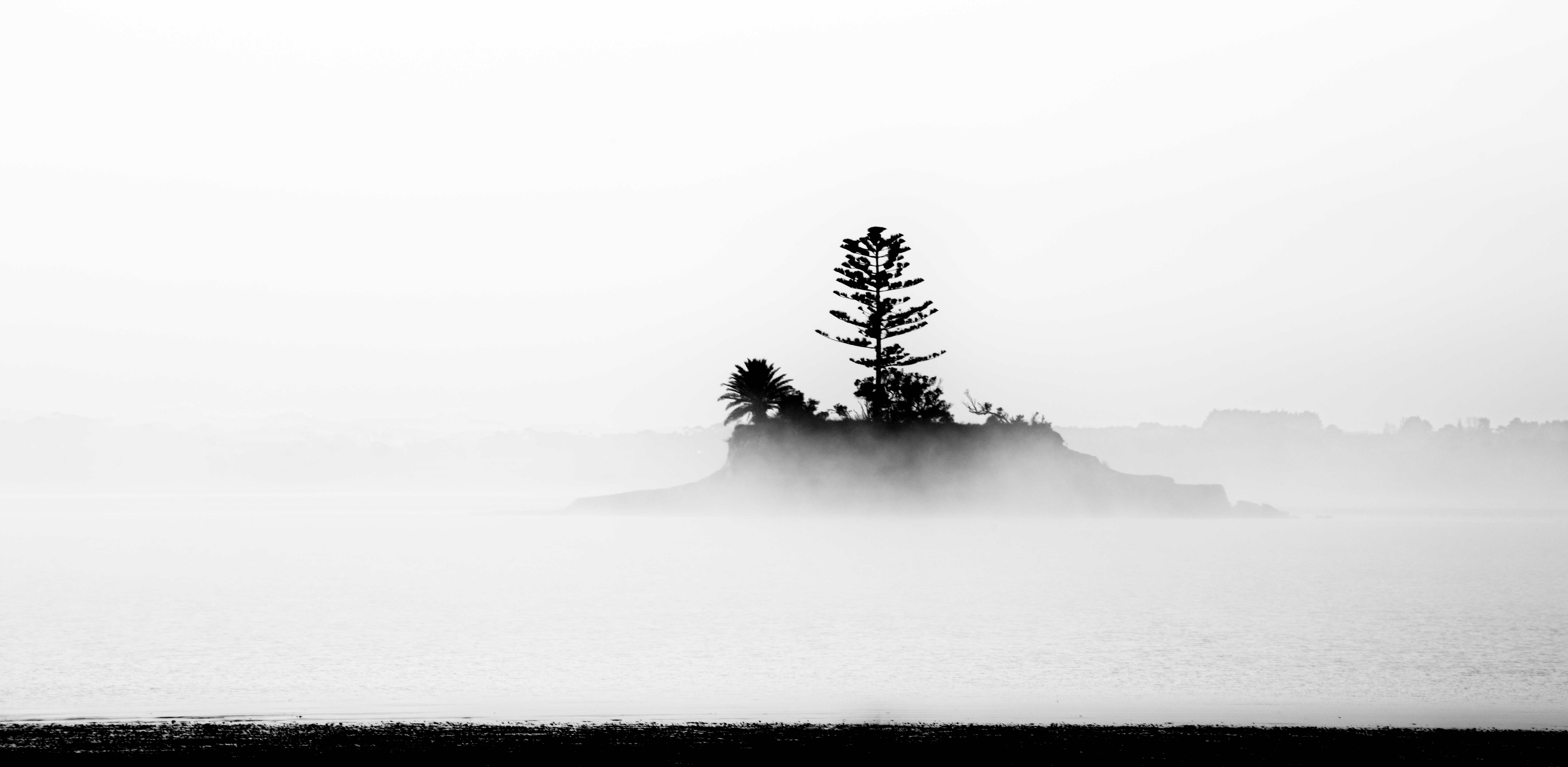 Name:  DSC_1578-Edit.jpg
Views: 317
Size:  583.1 KB