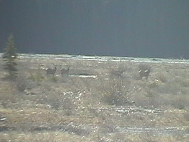 Name:  IMGA0249.JPG
Views: 2132
Size:  42.0 KB