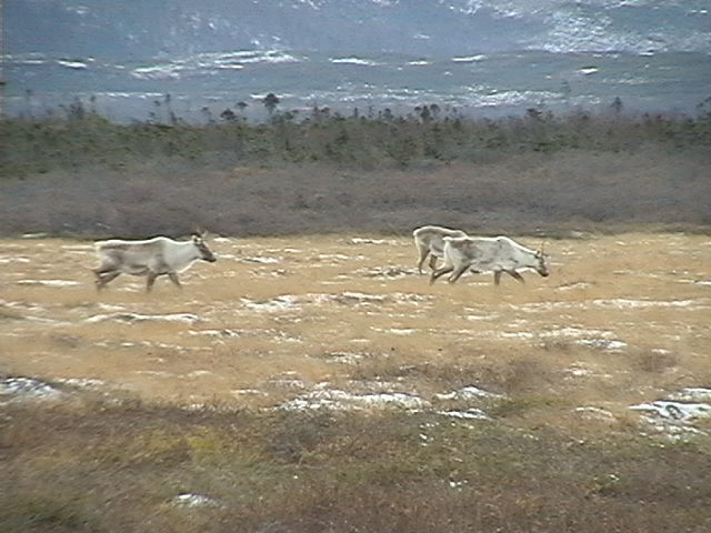 Name:  IMGA0140.JPG
Views: 2054
Size:  66.2 KB