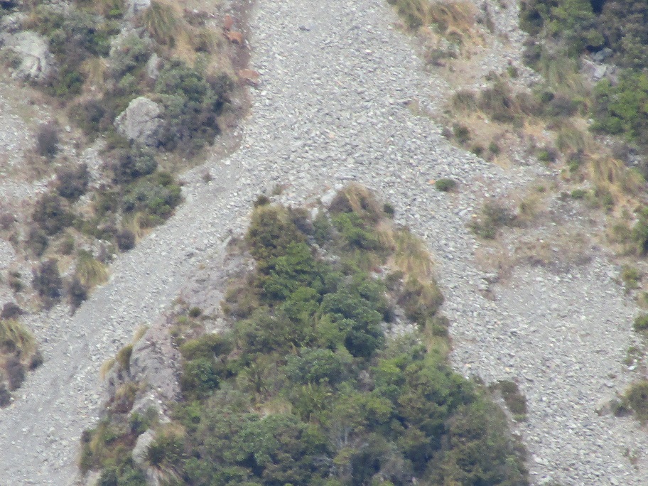 Name:  IMG_0501.JPG
Views: 1962
Size:  325.1 KB