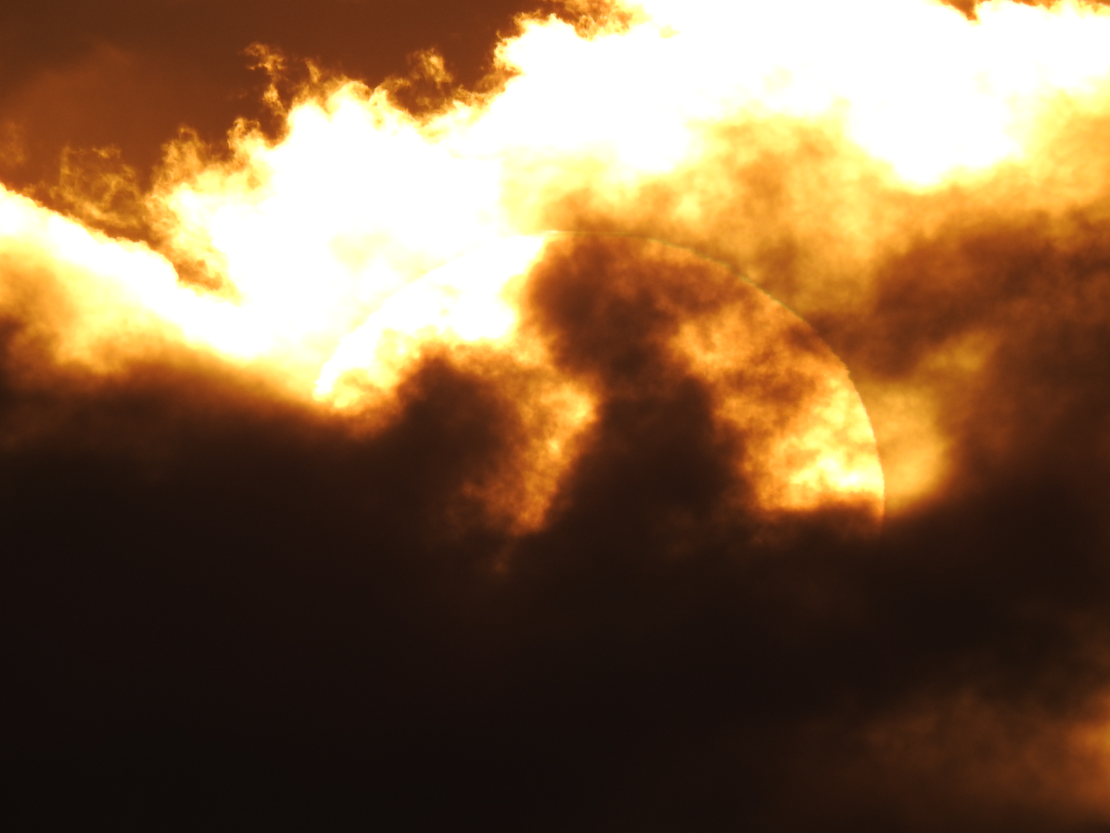 Name:  DSCN0787.JPG
Views: 559
Size:  3.63 MB