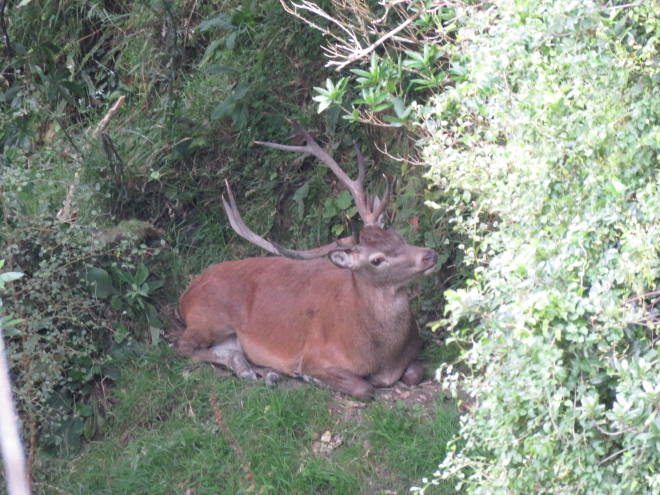 Name:  IMG_4531 2.JPG
Views: 716
Size:  435.4 KB
