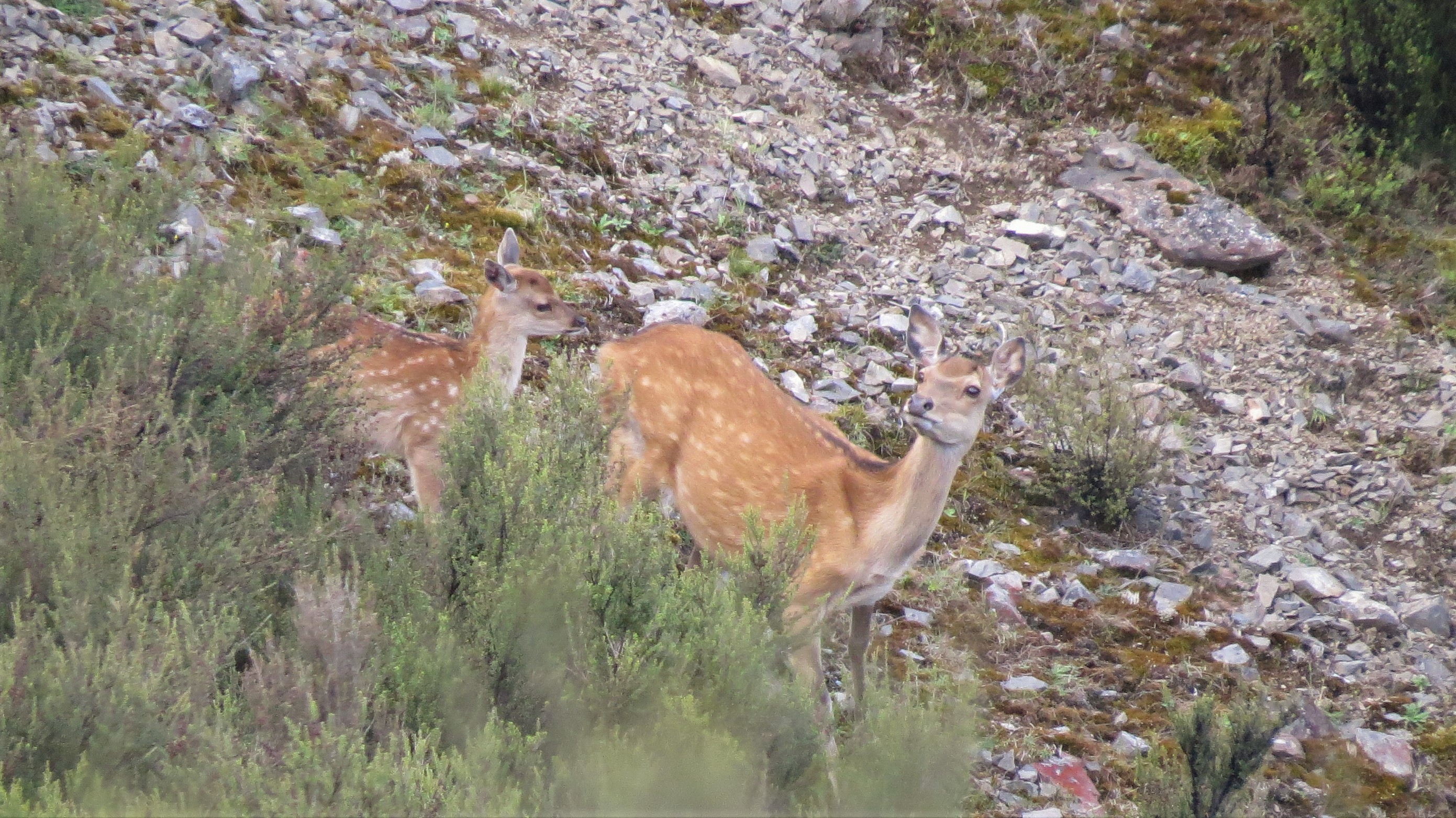 Name:  IMG_0843.JPG
Views: 1027
Size:  1.45 MB