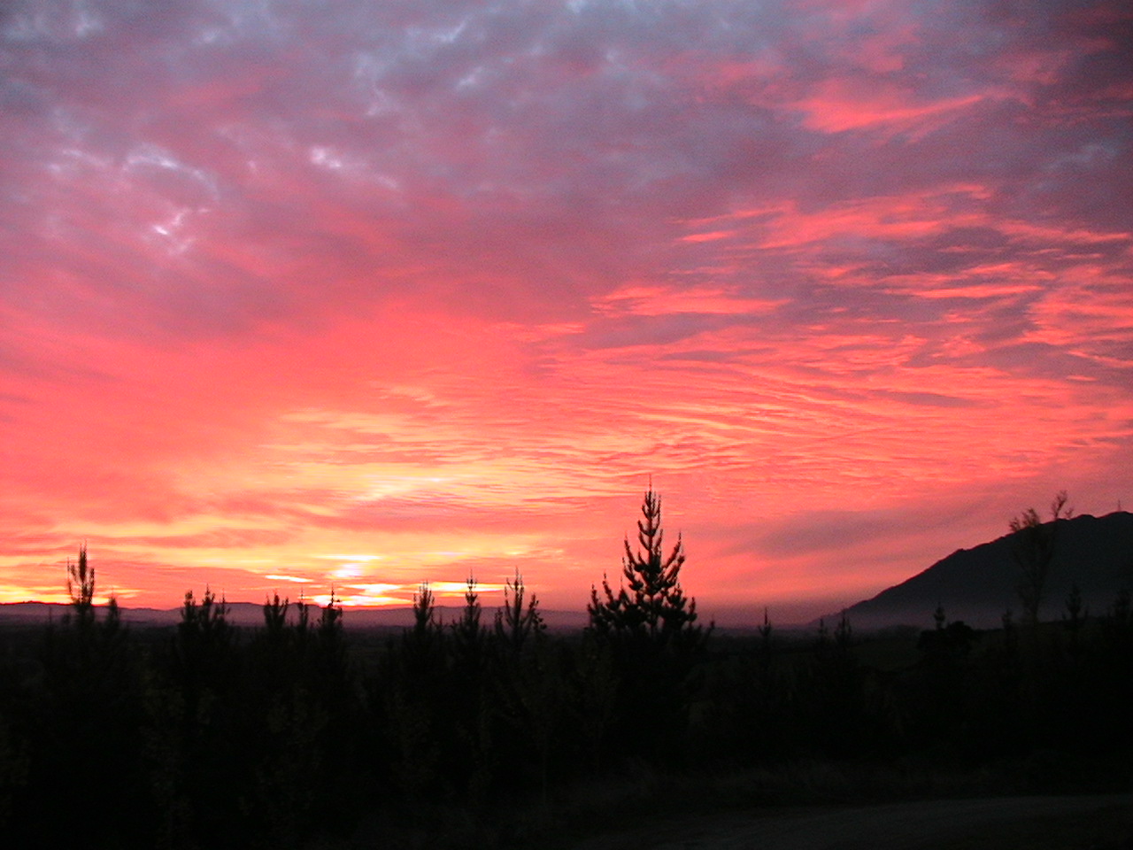 Name:  IMG_1078.JPG
Views: 2213
Size:  277.1 KB
