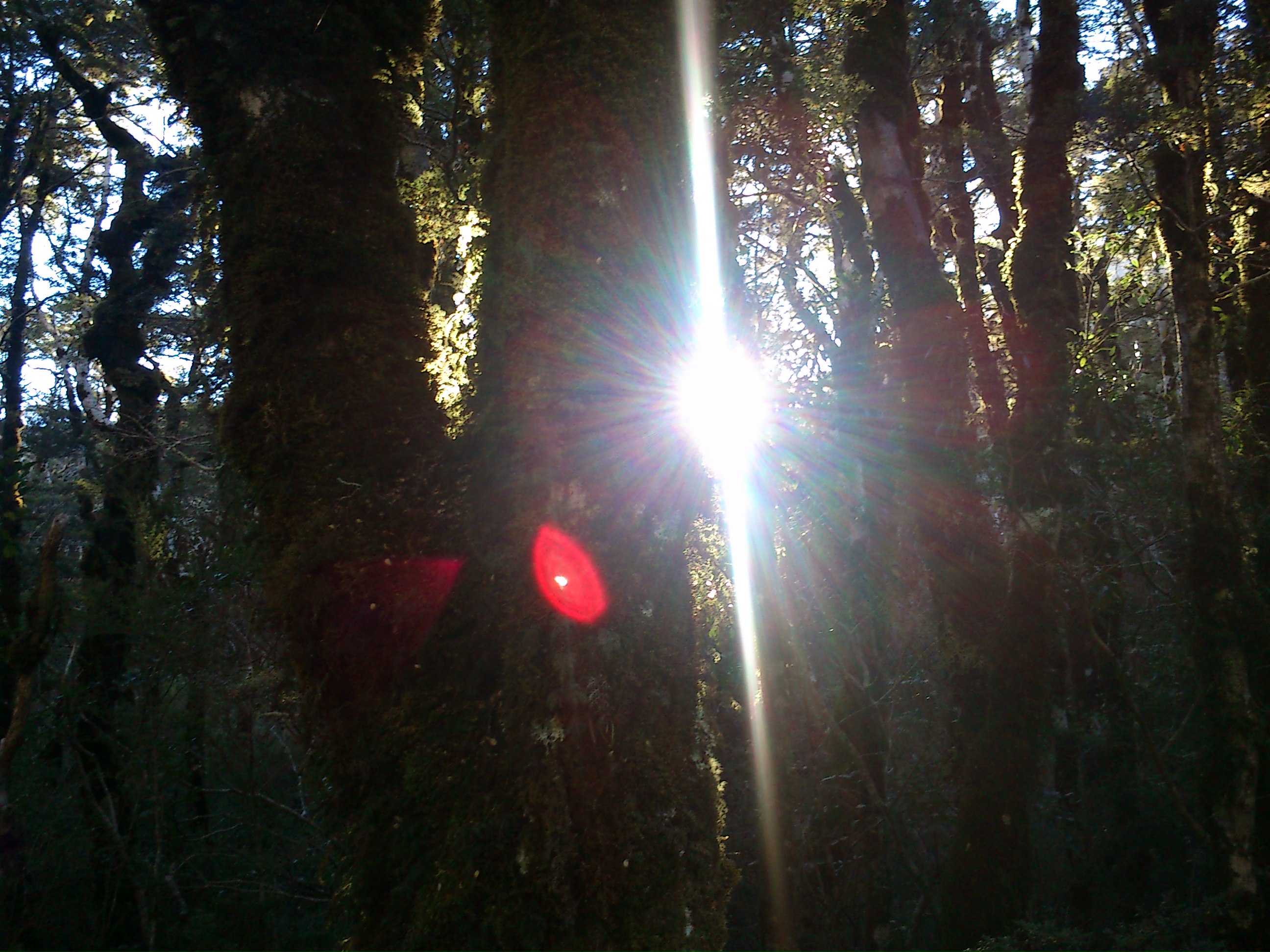Name:  DSC_0218.JPG
Views: 444
Size:  805.2 KB