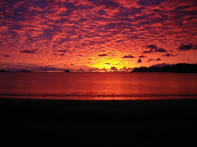 Name:  mercury bay sunrise.jpg
Views: 156
Size:  106.5 KB