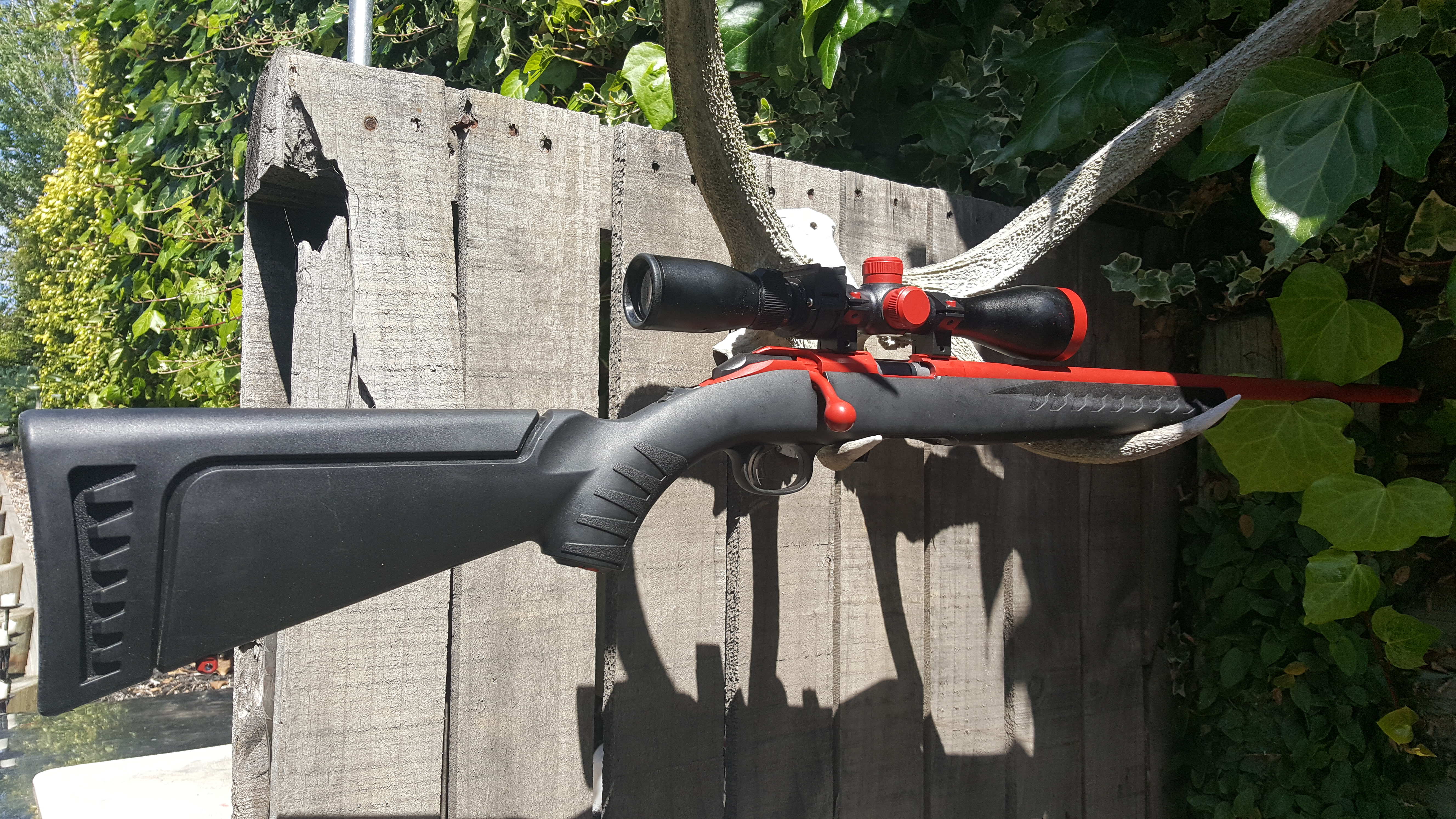 Name:  Ruger American Rimfire .22 S&W Red & graphite Black 7.jpg
Views: 335
Size:  6.21 MB