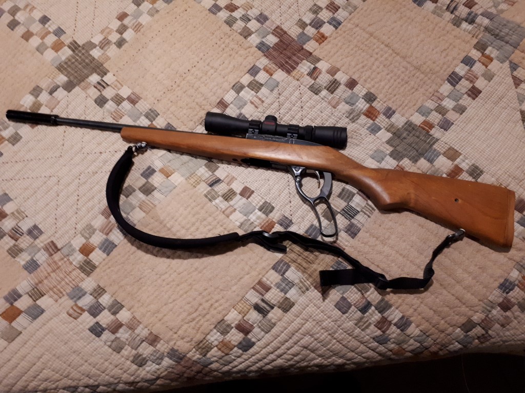 Name:  Ruger 9622 LR Blued Wood Stock 4.jpg
Views: 627
Size:  274.2 KB