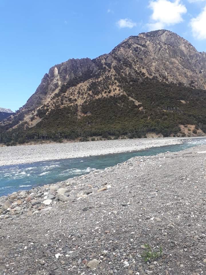 Name:  IMG_1724.JPG
Views: 266
Size:  211.5 KB