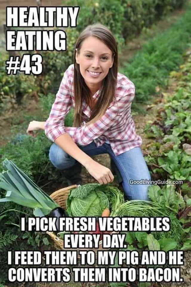 Name:  vegetables.jpg
Views: 356
Size:  80.3 KB