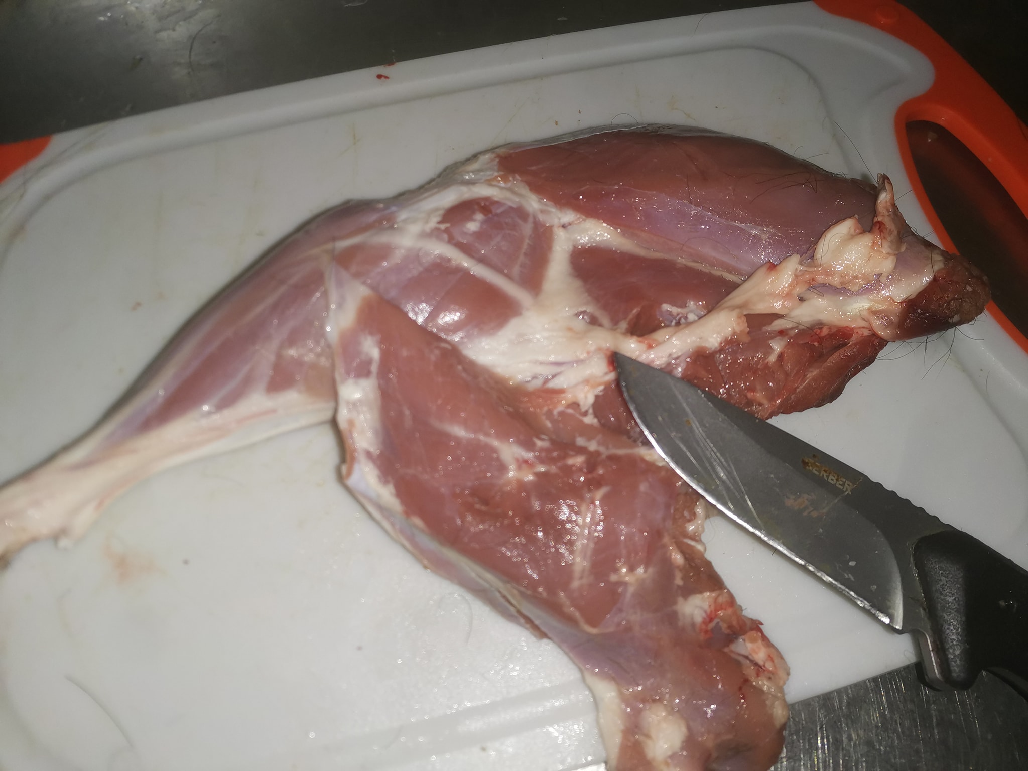Name:  Goat.jpg
Views: 683
Size:  289.9 KB