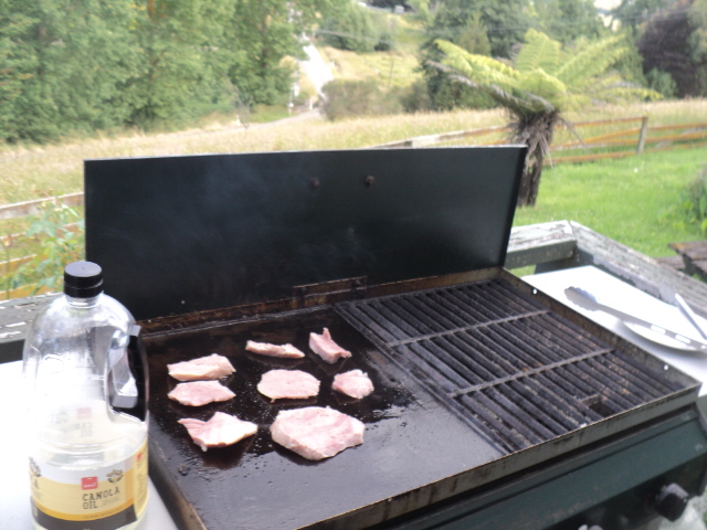 Name:  picture 01 2332.jpg
Views: 334
Size:  164.8 KB