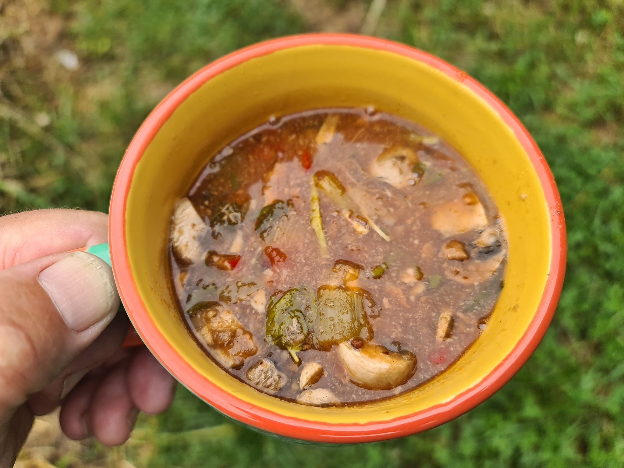 Name:  soup.jpg
Views: 392
Size:  534.1 KB