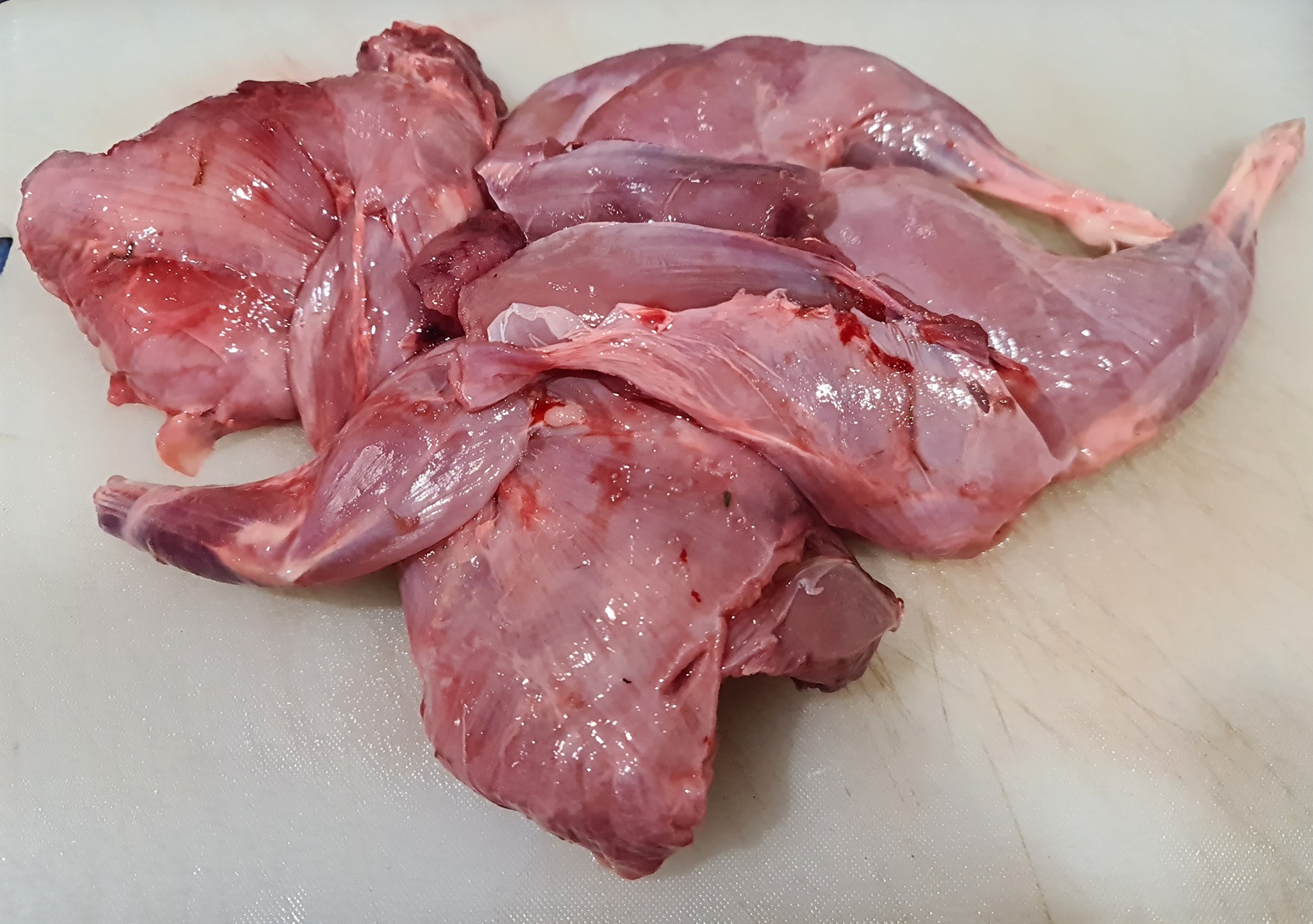 Name:  rabbit.jpg
Views: 264
Size:  561.2 KB