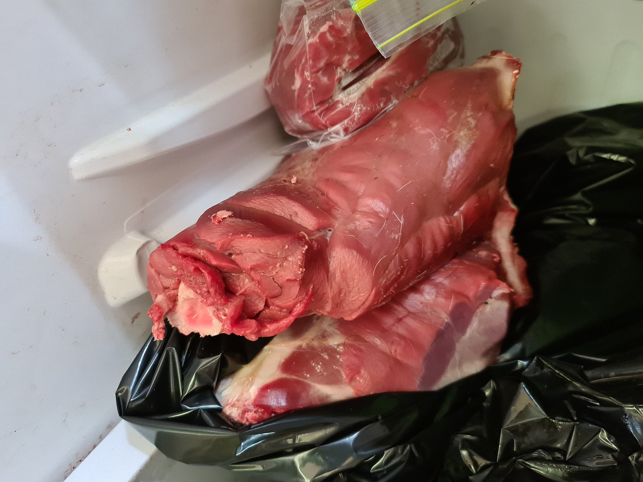 Name:  goat.jpg
Views: 240
Size:  542.6 KB
