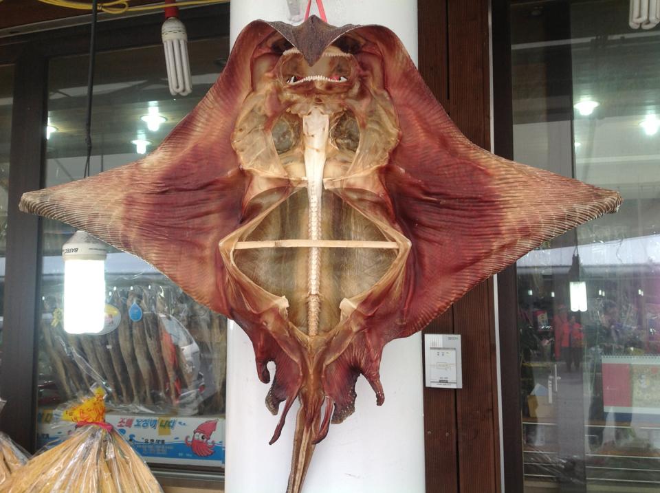 Name:  stingray dry.jpg
Views: 854
Size:  93.6 KB