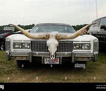 Name:  Caddy.jpg
Views: 154
Size:  9.1 KB