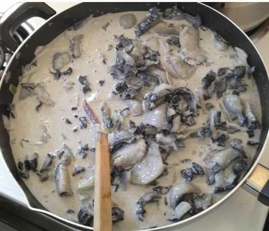 Name:  RED BOS Creamed Paua Sml.jpg
Views: 345
Size:  49.8 KB