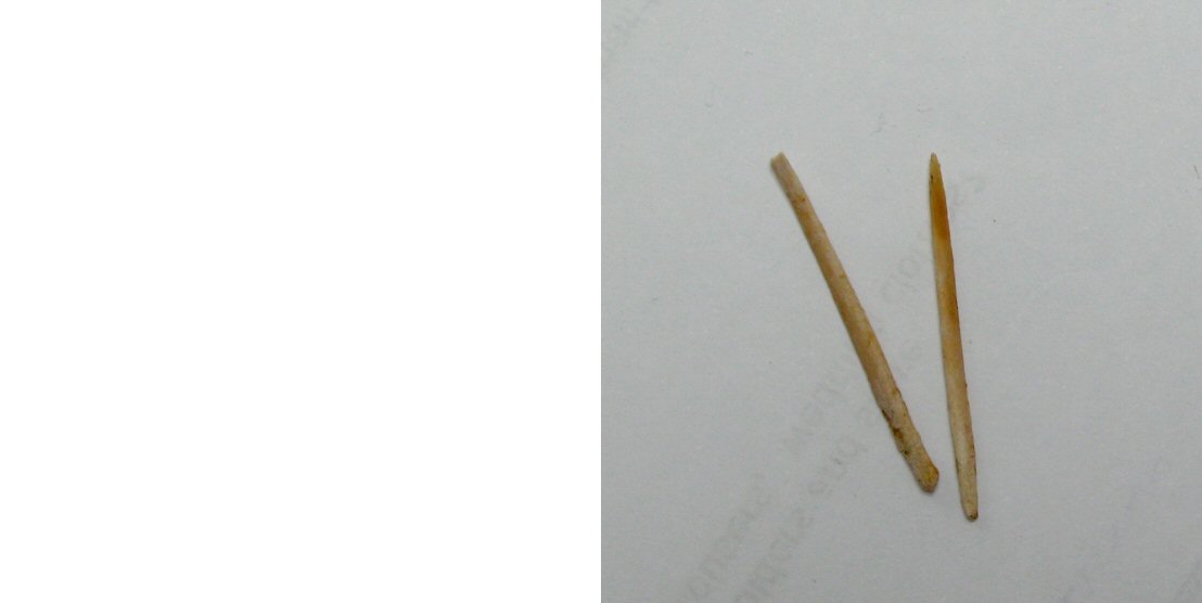 Name:  deer shank toothpicks.jpg
Views: 309
Size:  33.3 KB