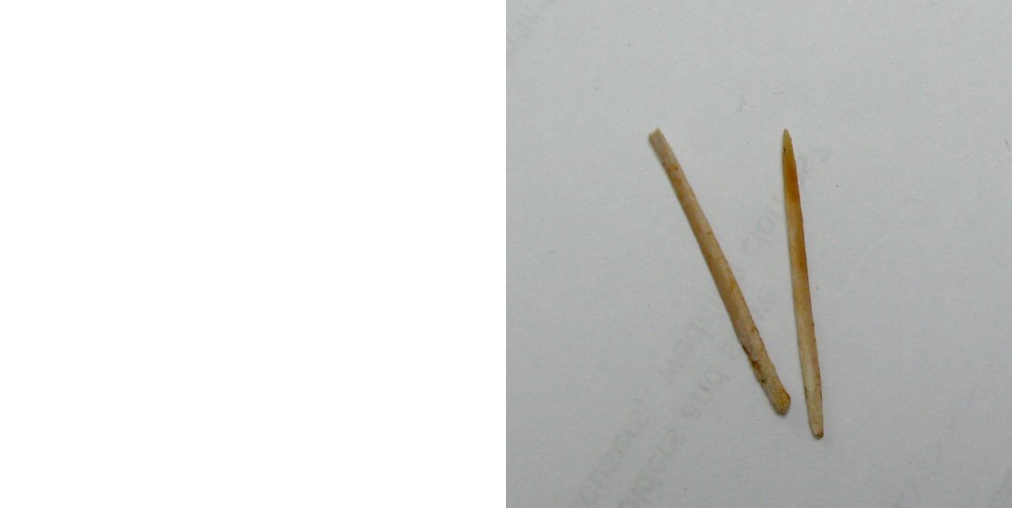 Name:  deer shank toothpicks.jpg
Views: 285
Size:  33.3 KB