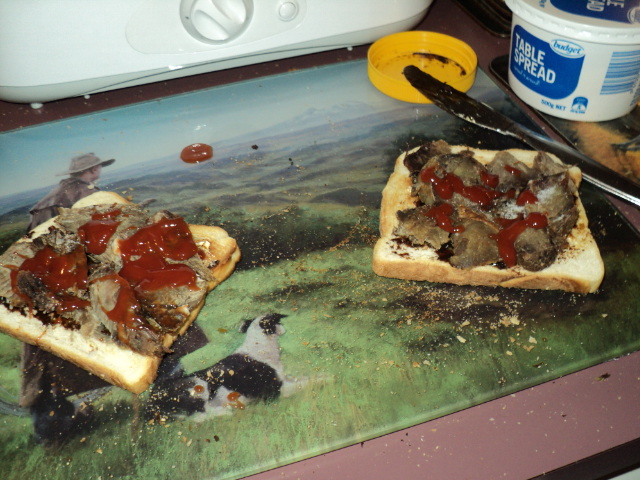 Name:  picture 2873.jpg
Views: 352
Size:  164.9 KB