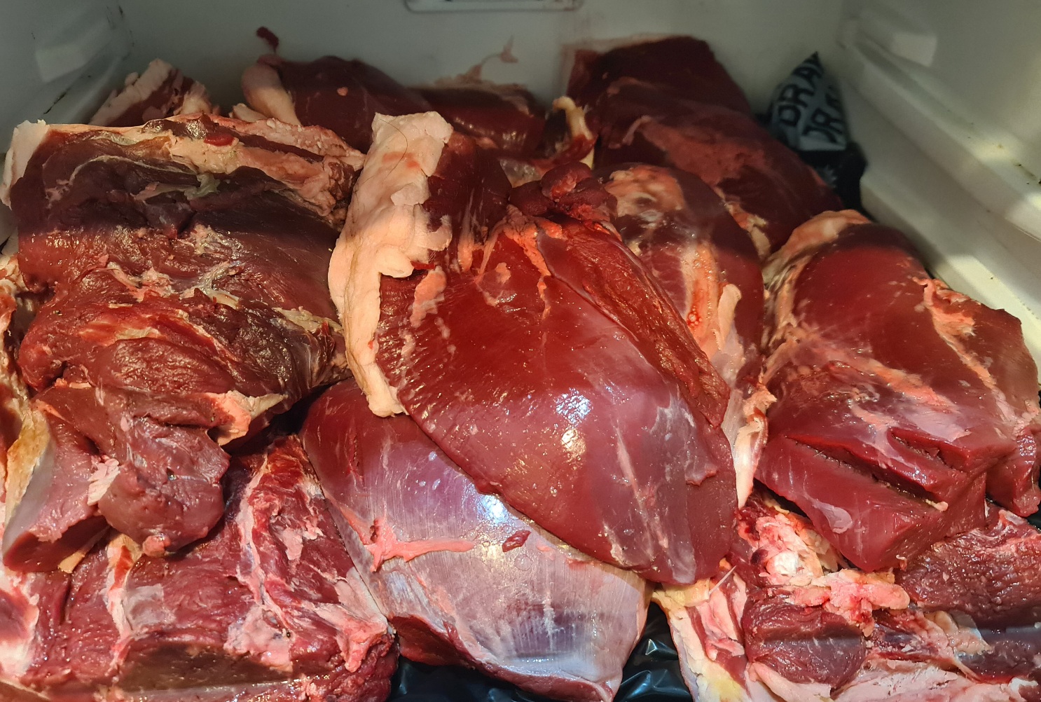Name:  meat.jpg
Views: 200
Size:  548.7 KB