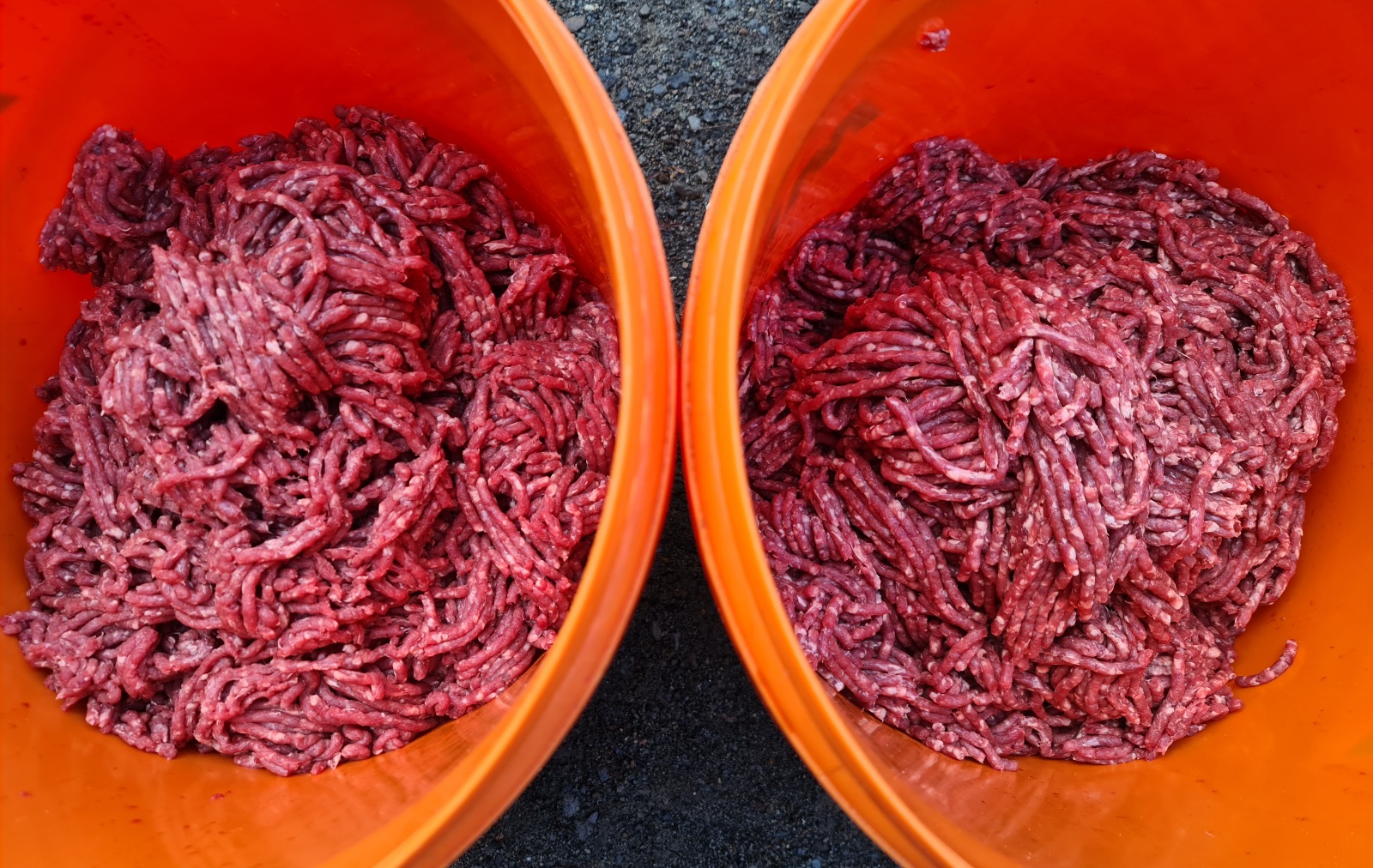 Name:  mince.jpg
Views: 186
Size:  637.6 KB