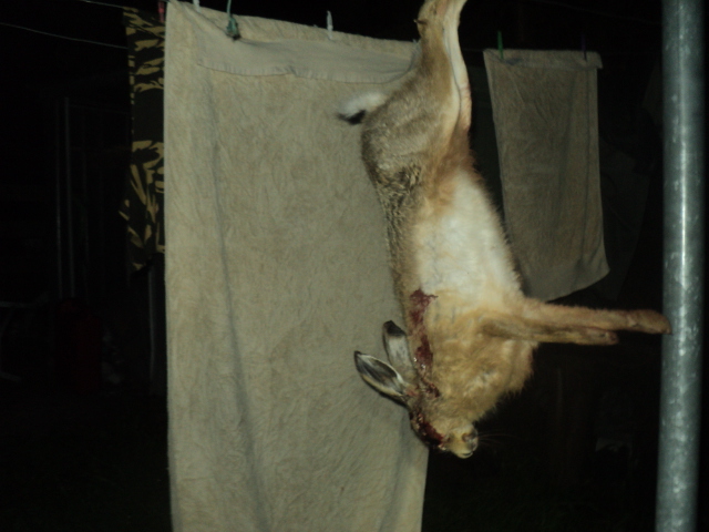 Name:  picture 01 4282.jpg
Views: 173
Size:  165.2 KB