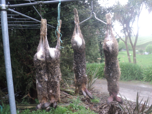 Name:  picture 01 4232.jpg
Views: 170
Size:  164.9 KB