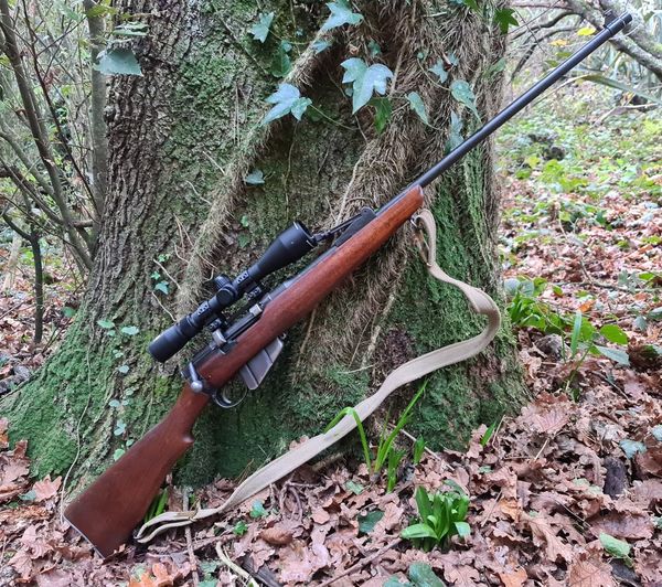 Name:  rifle.jpg
Views: 293
Size:  121.8 KB