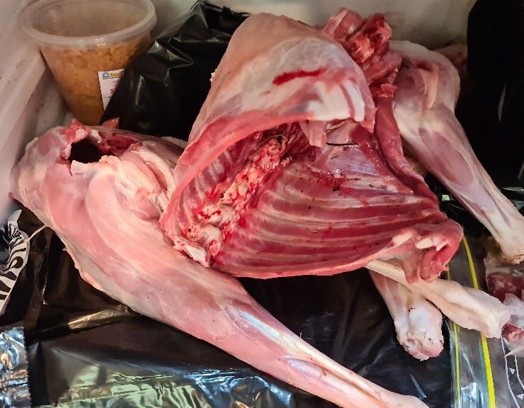 Name:  goat meat.jpg
Views: 312
Size:  157.6 KB