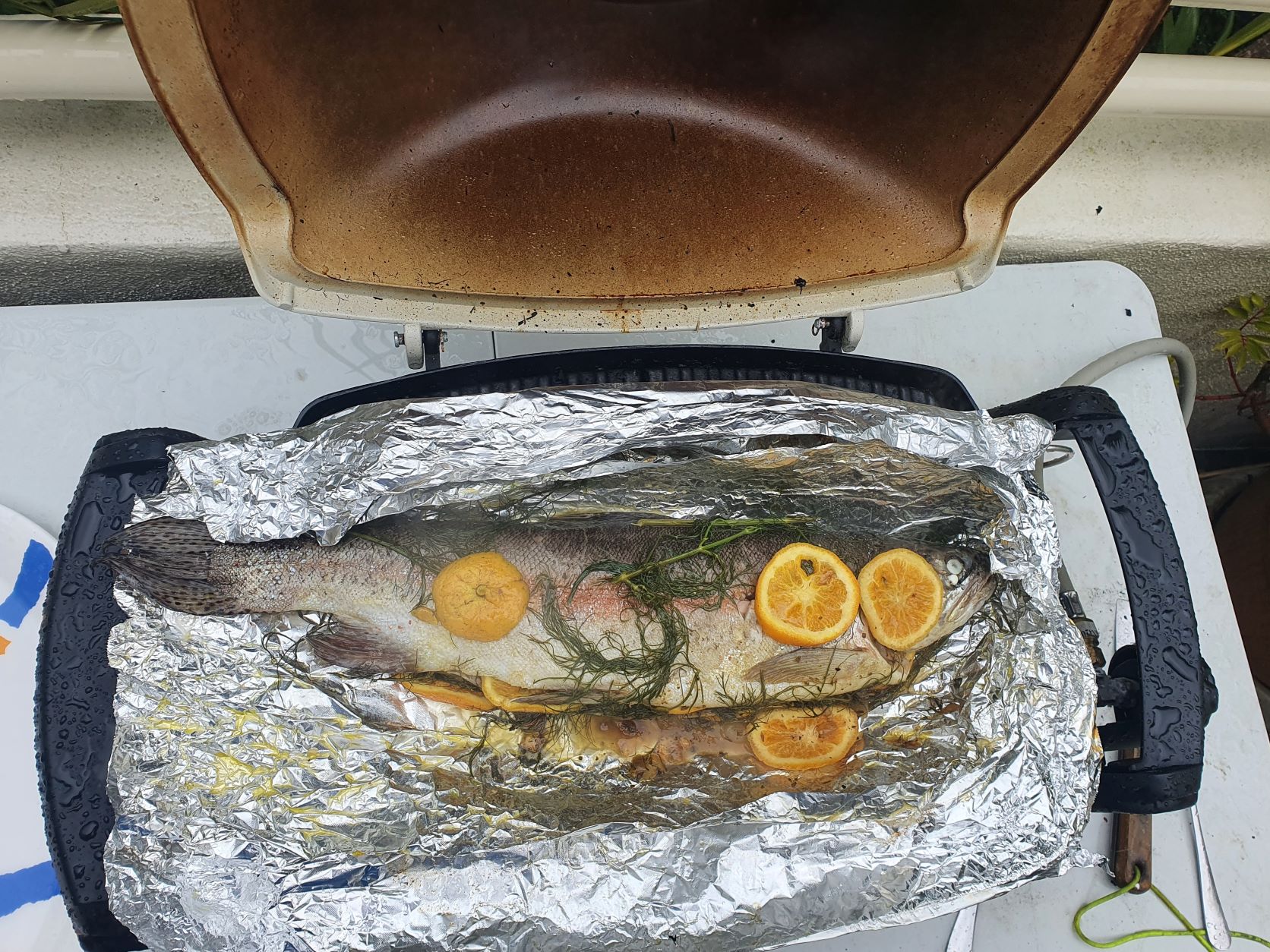 Name:  trout on webber.jpg
Views: 272
Size:  516.2 KB